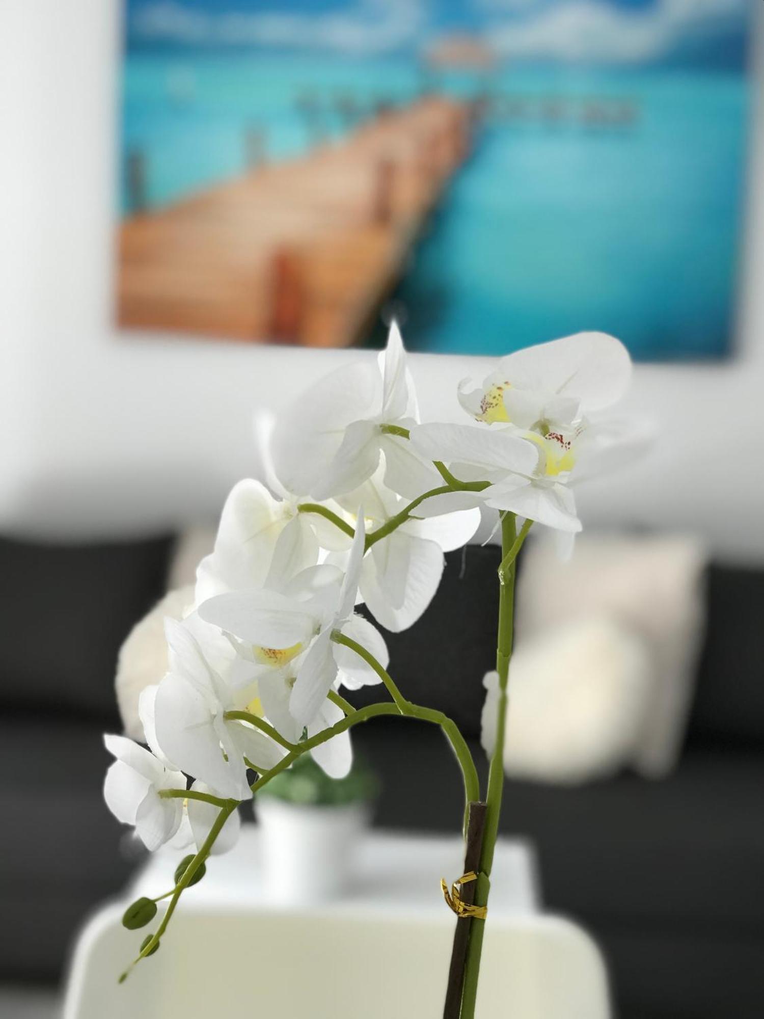 Apartamento Side Heaven